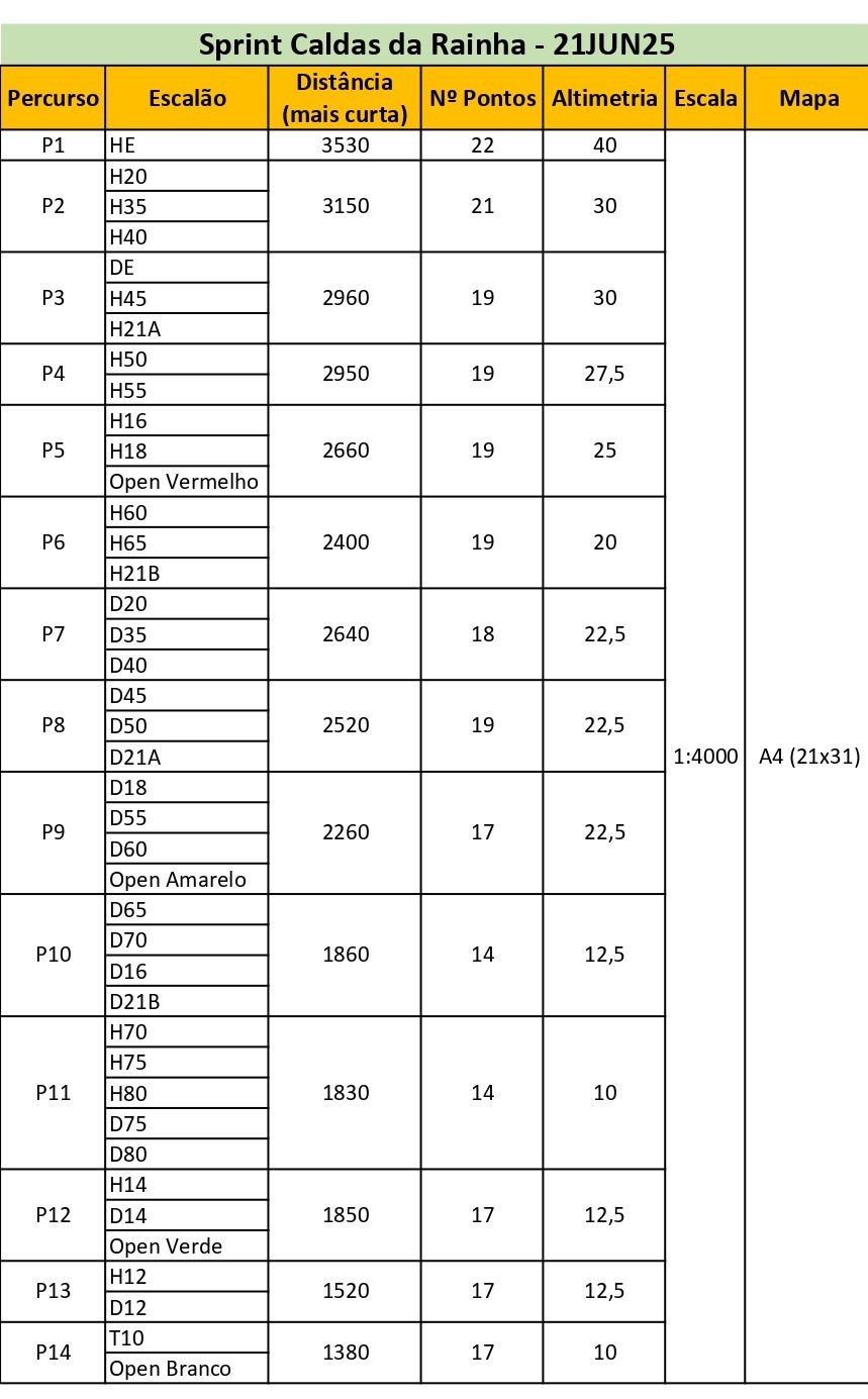 Inf. Tecnica Sprint page 0001