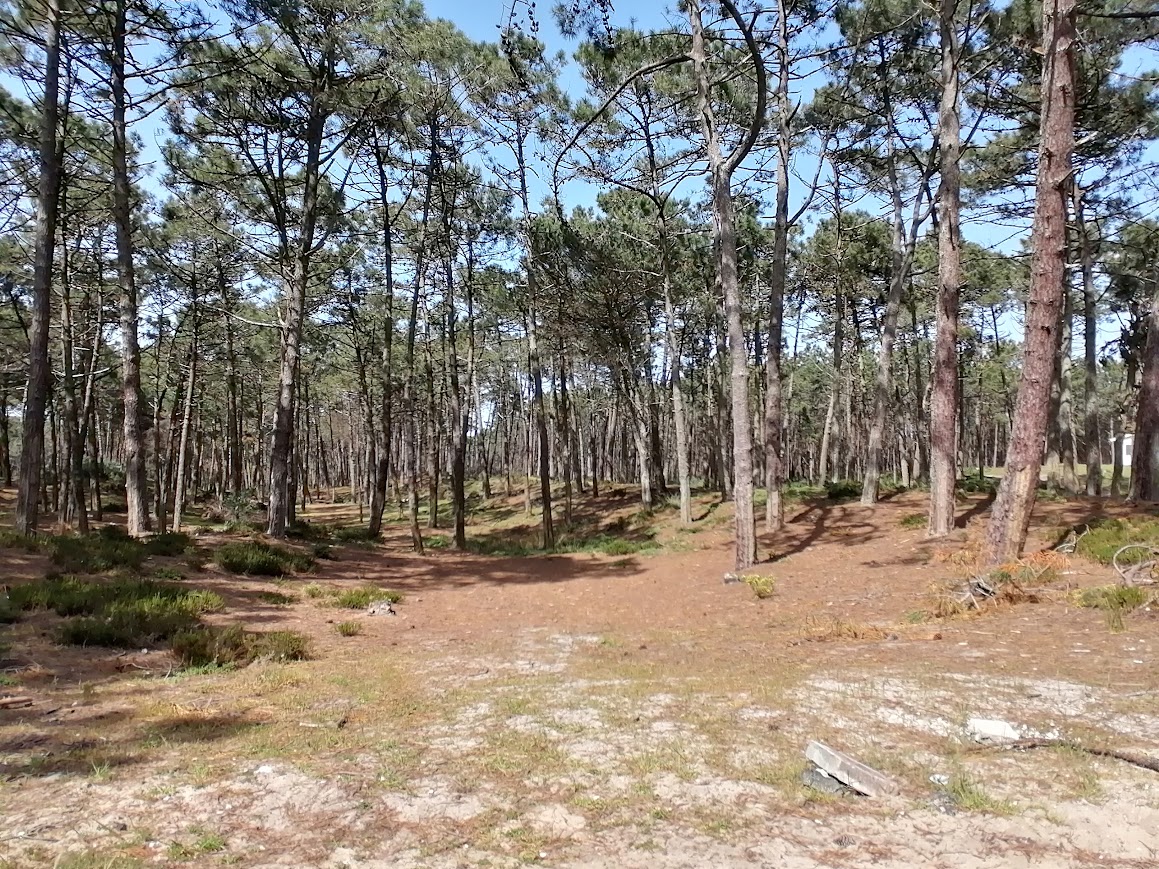 foto terreno 2
